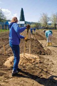 Idaho Community Garden Thrives Image